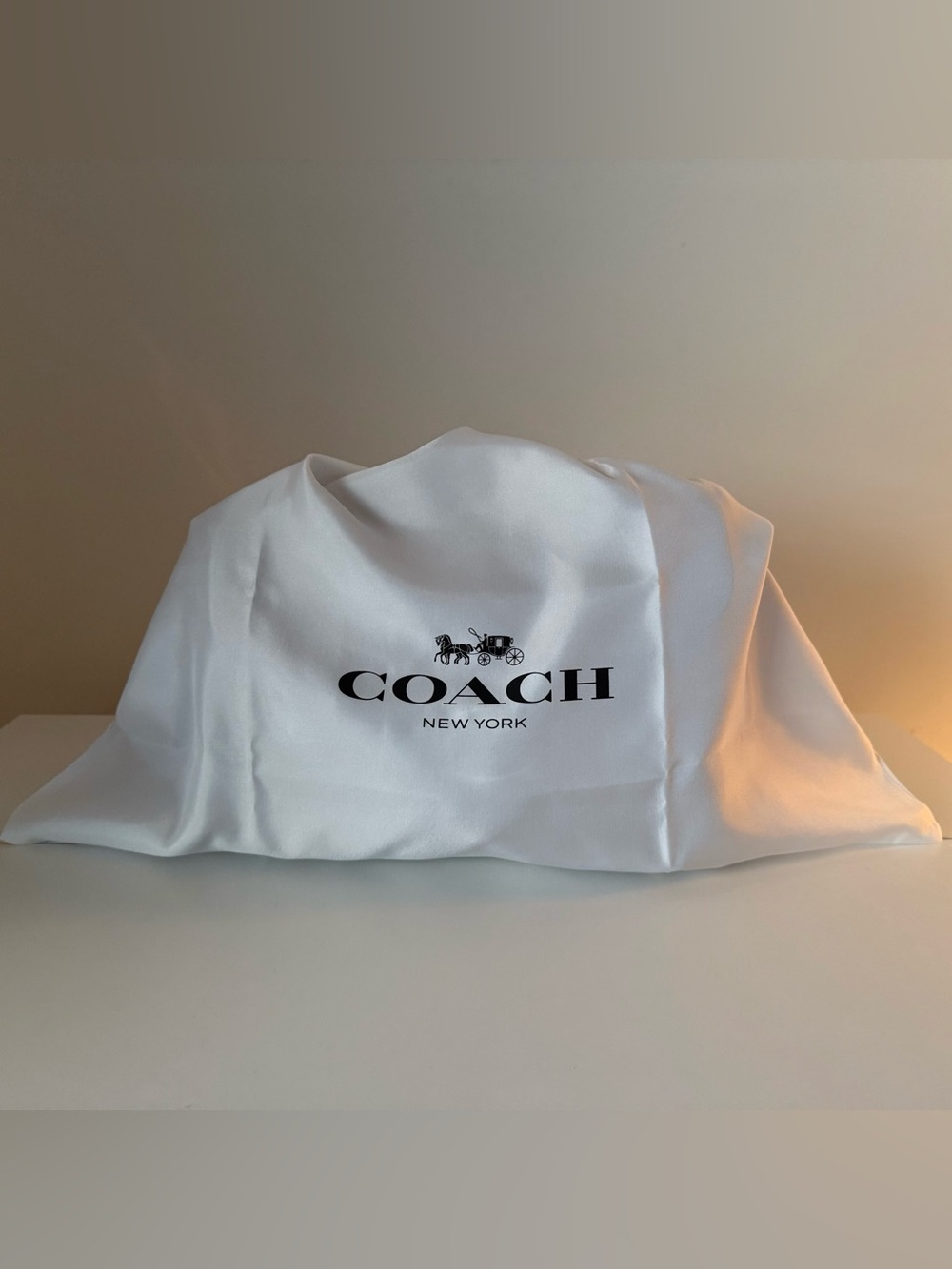 Coach Cargo Pocket Tabby - Picture 9 of 11